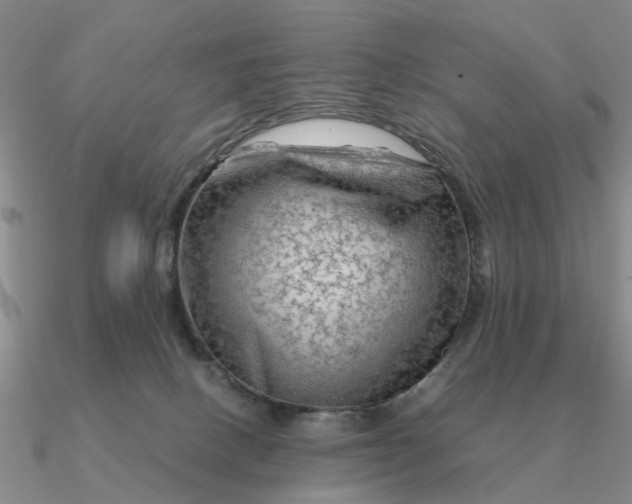 X0000090600082200708071152