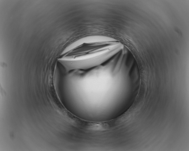 X0000090600083200708071152