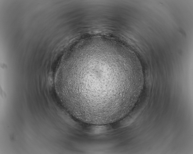 X0000090600085200708071152