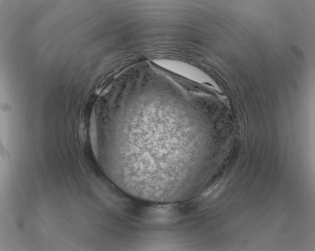 X0000090600086200708071152