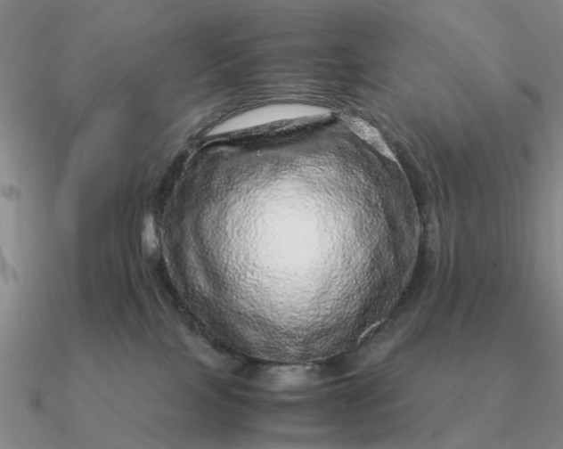 X0000090600089200708071152