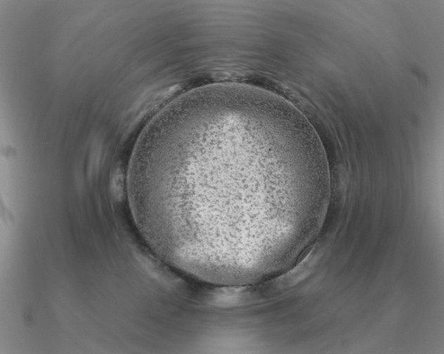 X0000090600090200708071152