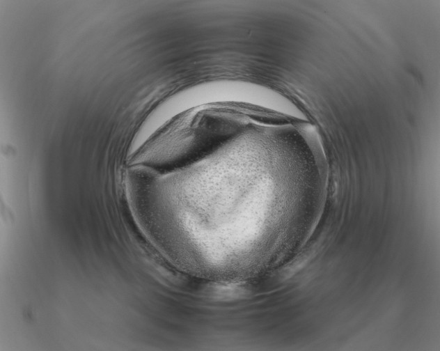 X0000090600093200708071152