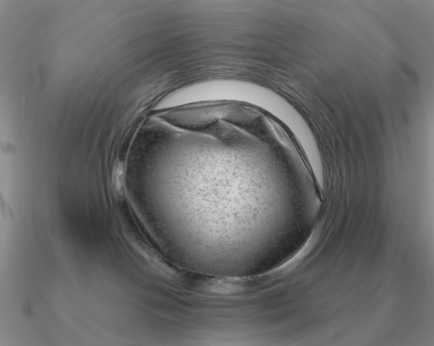 X0000090600094200708071152