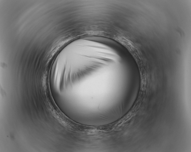 X0000090600098200708071151