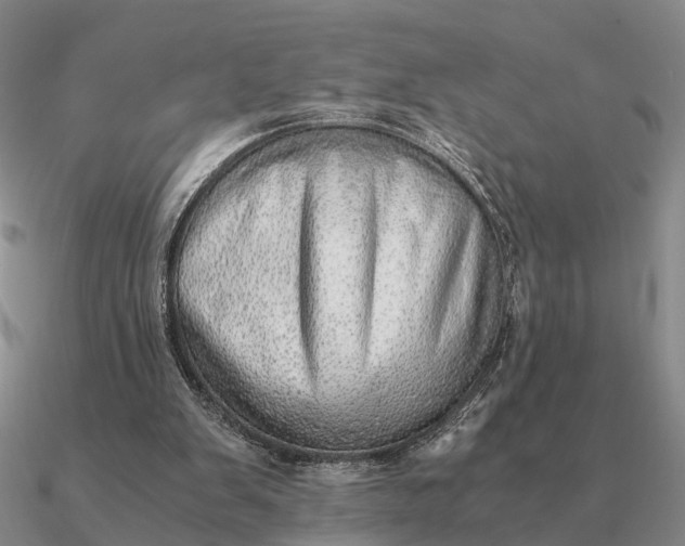 X0000090600103200708071151