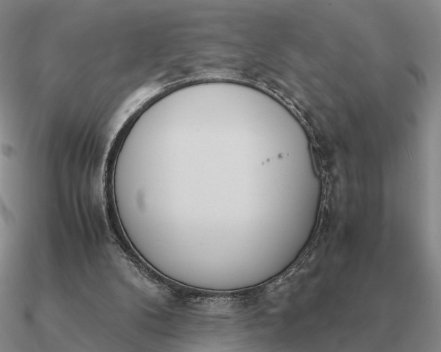 X0000090600104200708071151