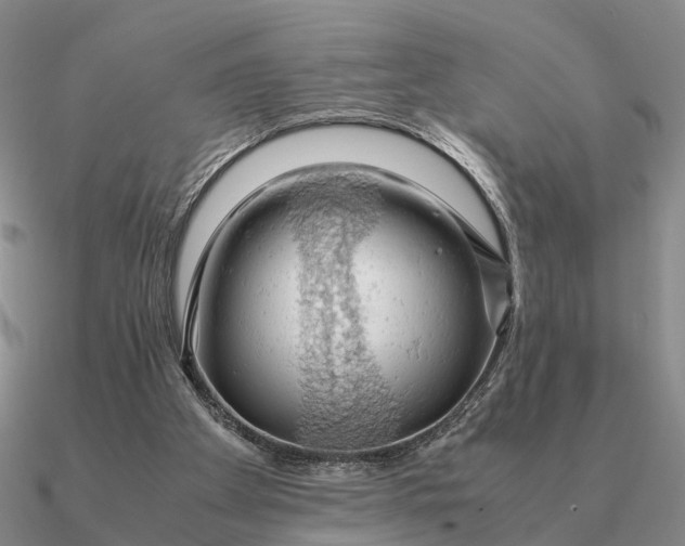 X0000090600105200708071151