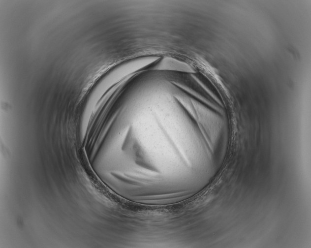 X0000090600106200708071151