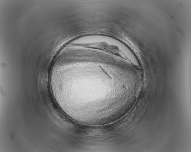 X0000090600107200708071151