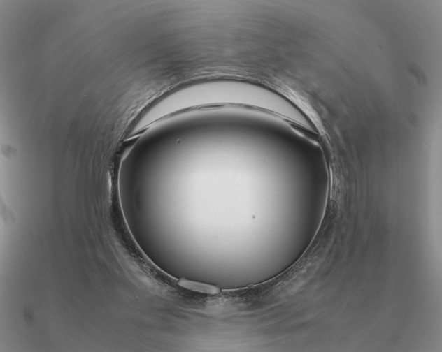 X0000090600109200708071151