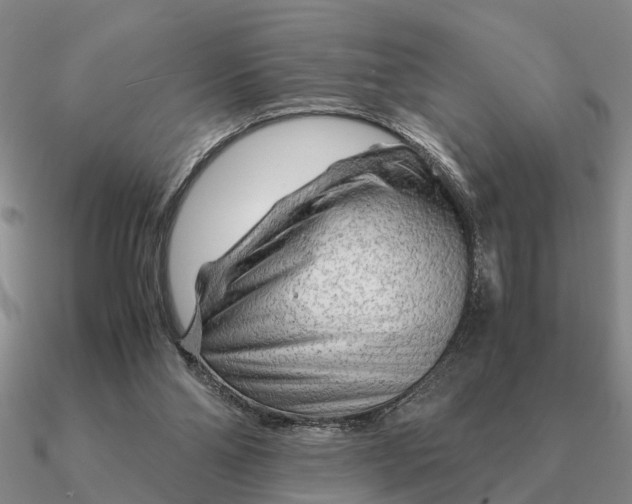 X0000090600110200708071151