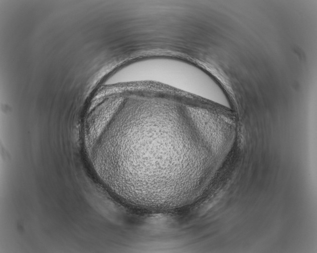 X0000090600111200708071151