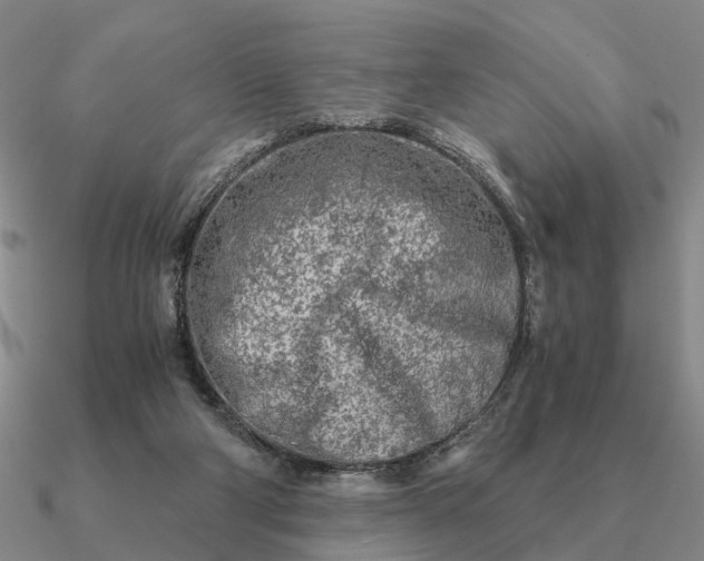 X0000090600114200708071151