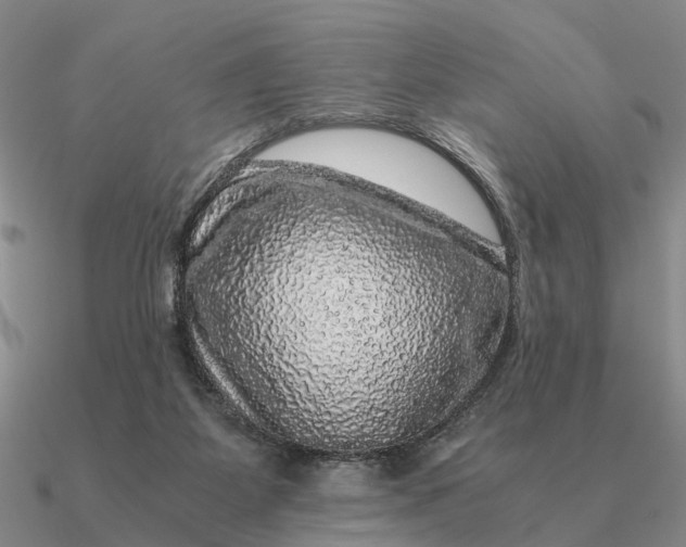 X0000090600115200708071151