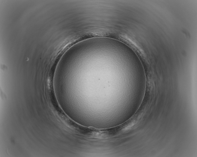 X0000090600117200708071151