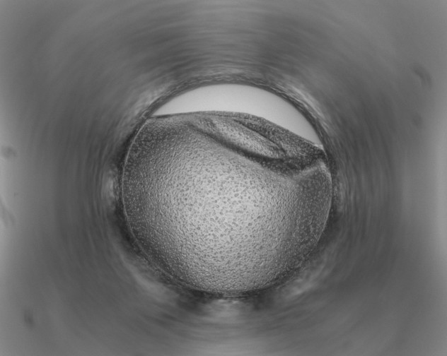 X0000090600119200708071151