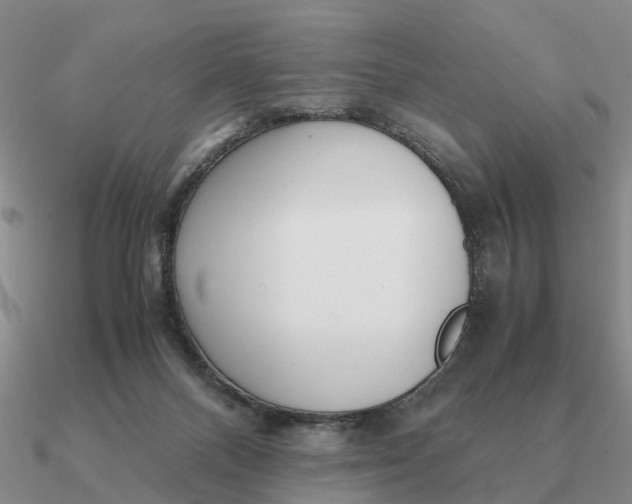 X0000090600120200708071151