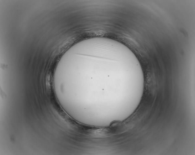 X0000090600122200708071151