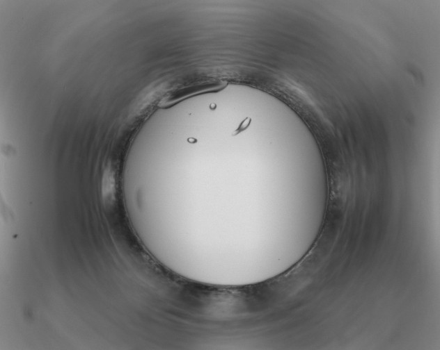 X0000090600124200708071151