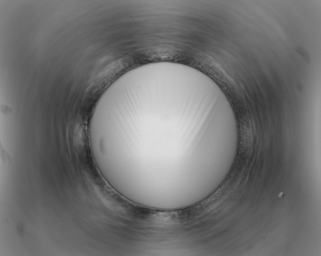 X0000090600126200708071151