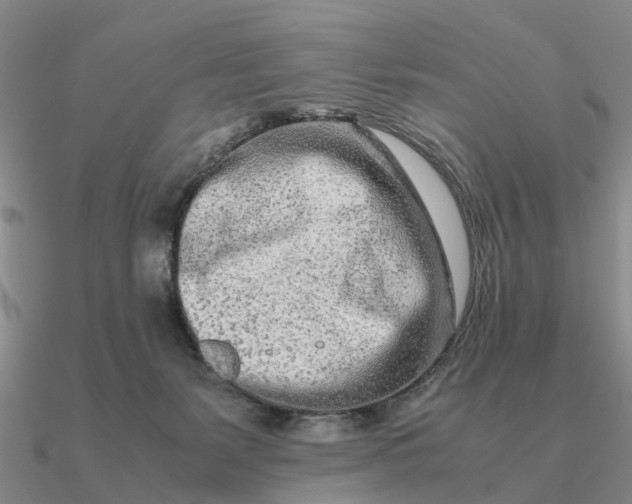 X0000090600127200708071151