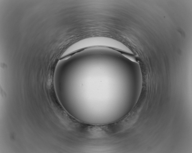 X0000090600129200708071151