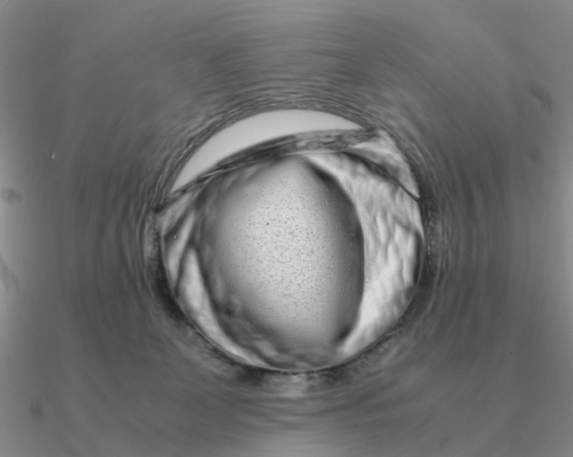 X0000090600131200708071151