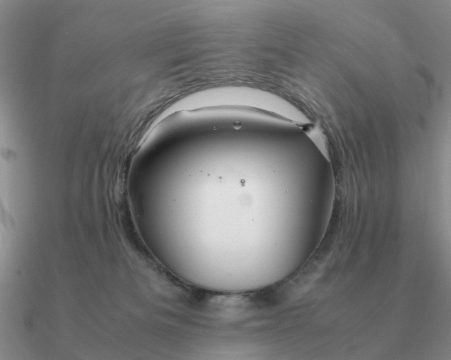 X0000090600133200708071151