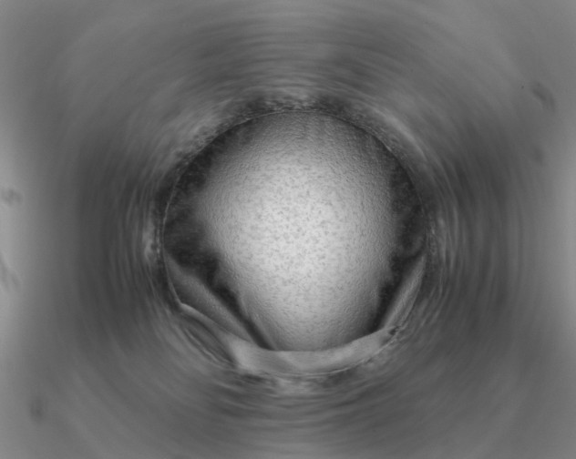 X0000090600134200708071151