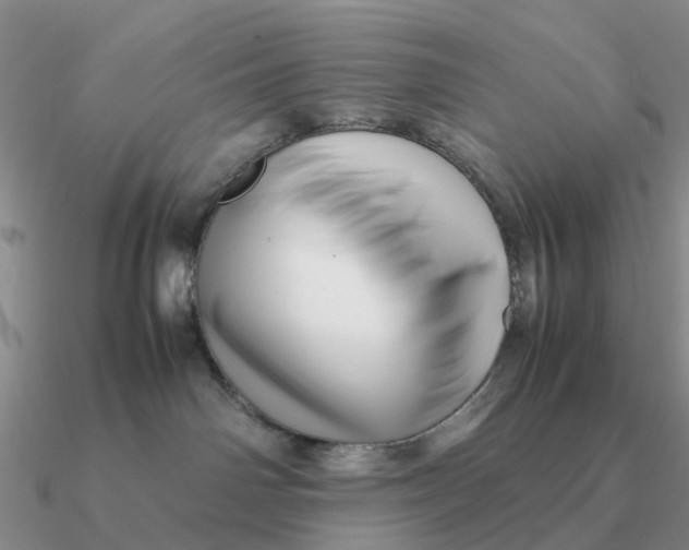 X0000090600142200708071151