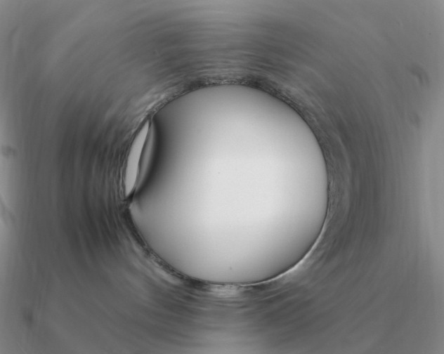 X0000090600144200708071150