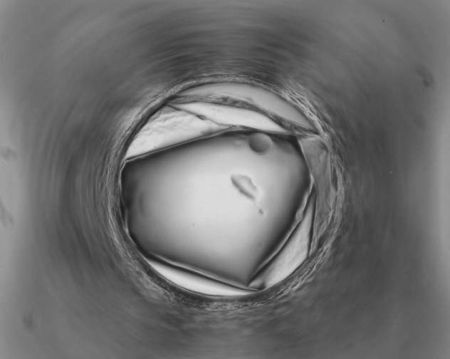 X0000090600145200708071150