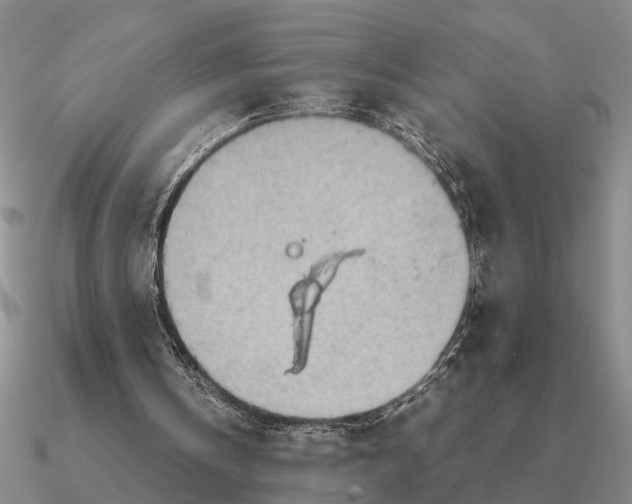 X0000090600146200708071150