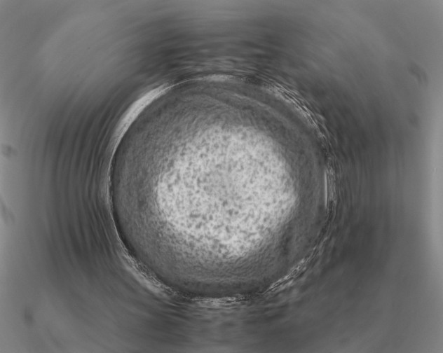 X0000090600147200708071150