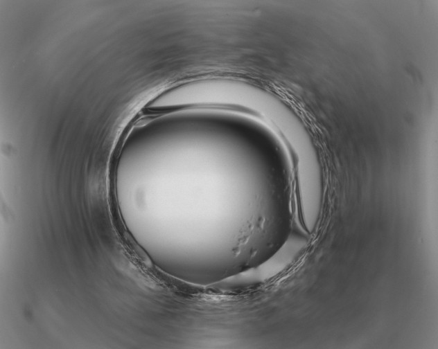 X0000090600148200708071150