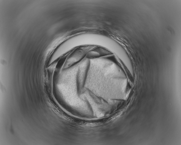 X0000090600149200708071150