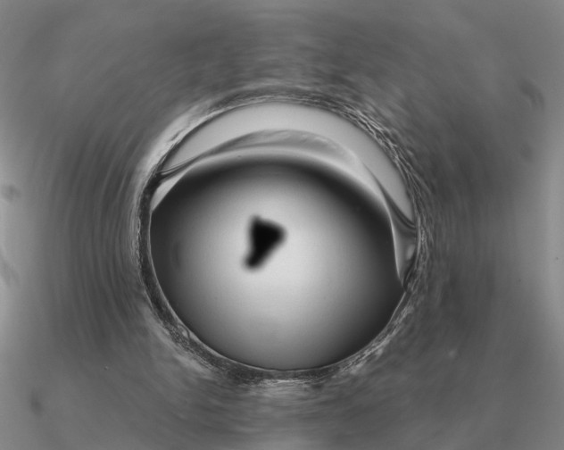 X0000090600150200708071150