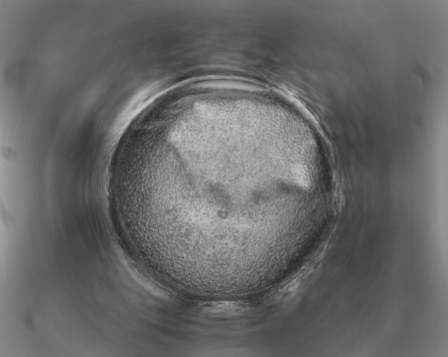 X0000090600151200708071150