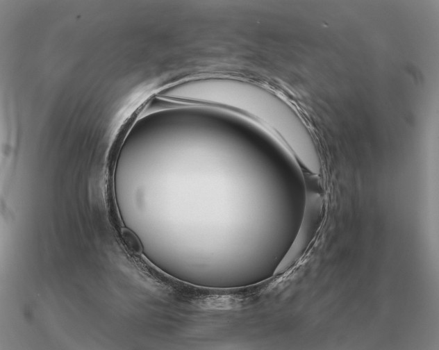 X0000090600152200708071150