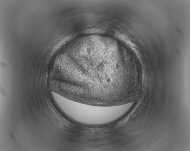 X0000090600153200708071150