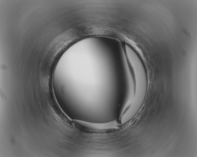 X0000090600154200708071150