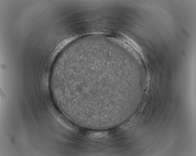 X0000090600155200708071150