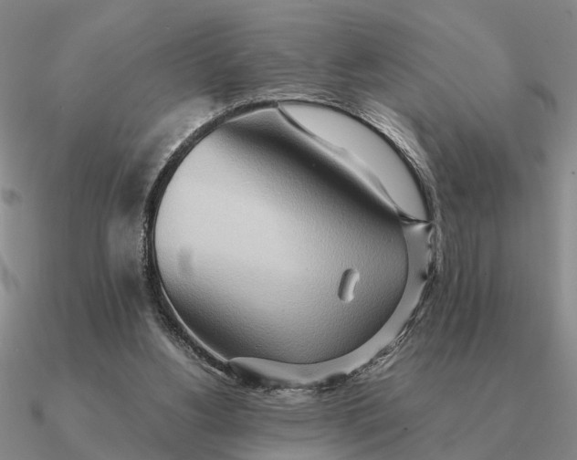 X0000090600156200708071150