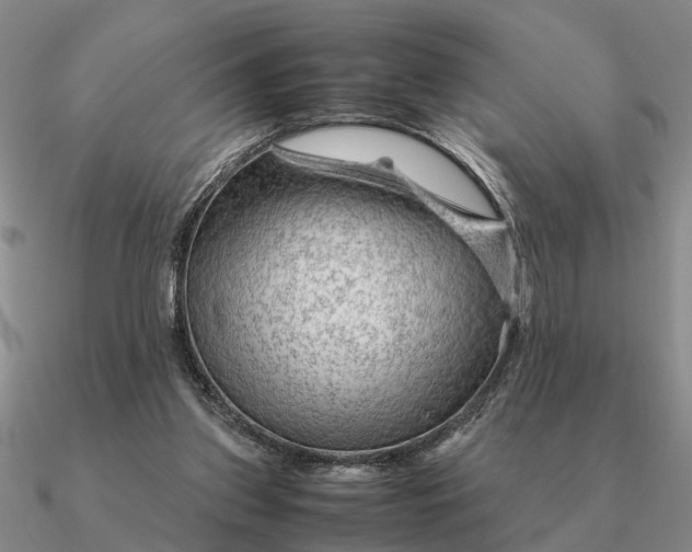 X0000090600157200708071150