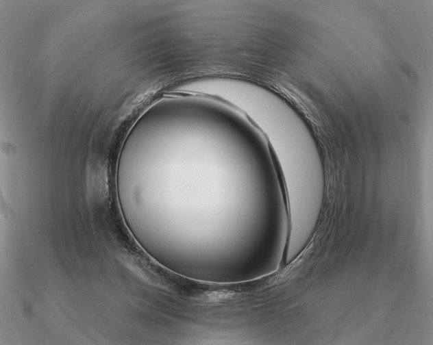 X0000090600158200708071150