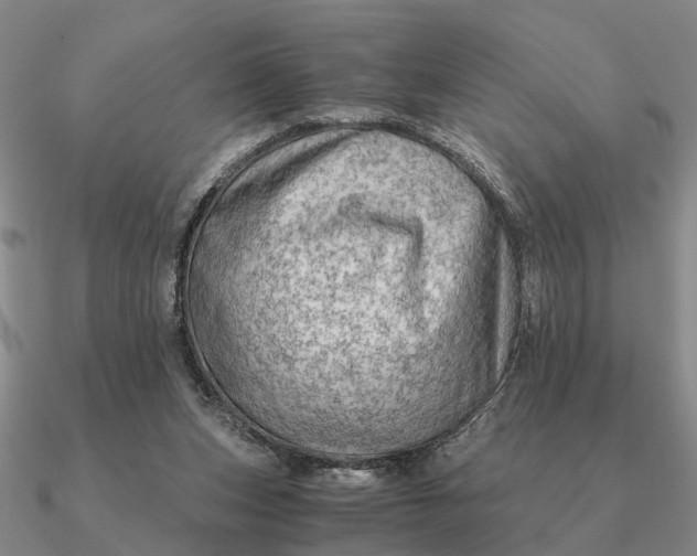 X0000090600159200708071150