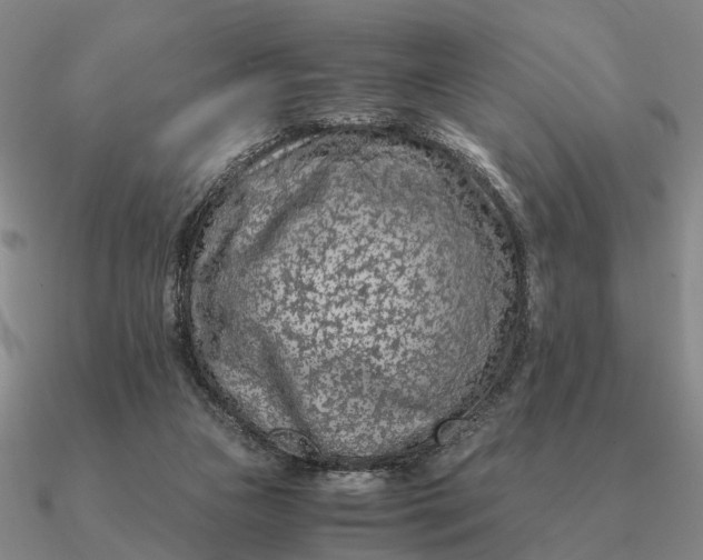 X0000090600161200708071150