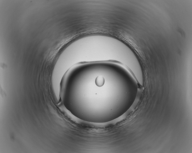 X0000090600164200708071150