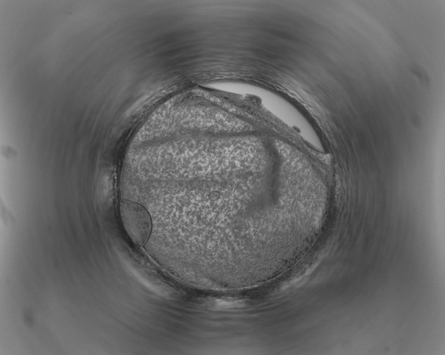 X0000090600165200708071150